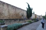 PICTURES/Cordoba - Street Scenes/t_City Wall Moat 4.JPG